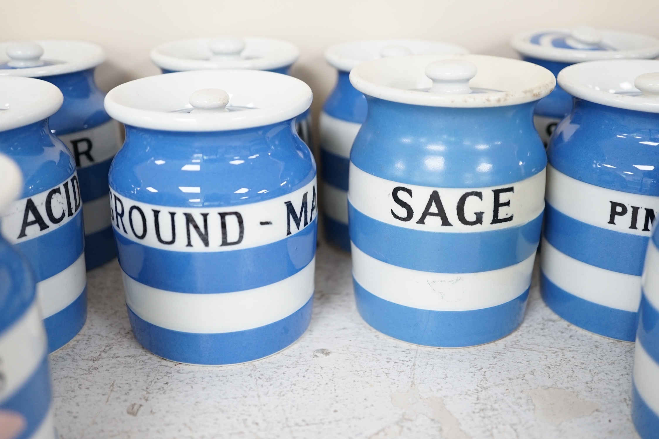 T.G.Green Cornish Kitchenware, eighteen 8.5cm lidded storage jars to include Curry Powder, Baking Soda, Candied Peel, Chillies, Pimento and Arrowroot, mixed marks. Condition - poor, fair and good